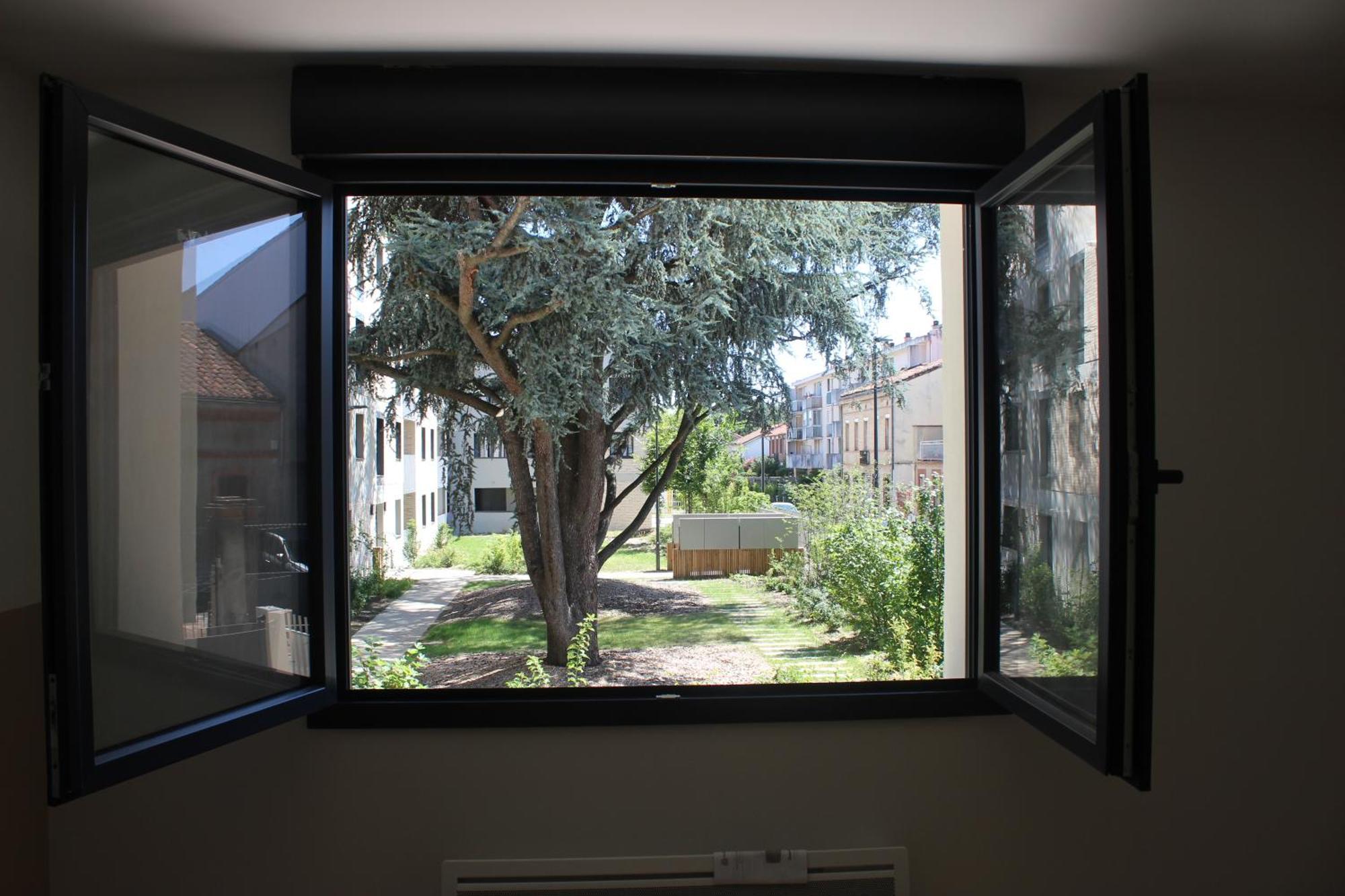 Elegante Maison De Ville Renovee Toulouse Buitenkant foto